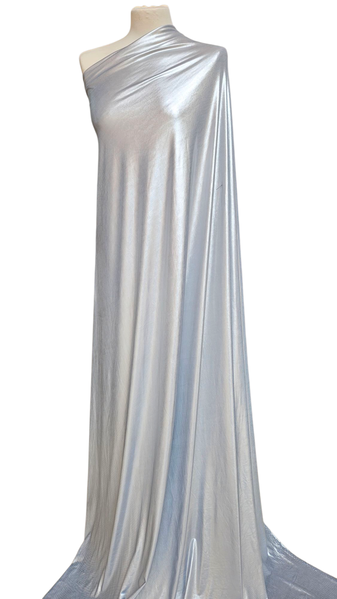 Lycra argentata
