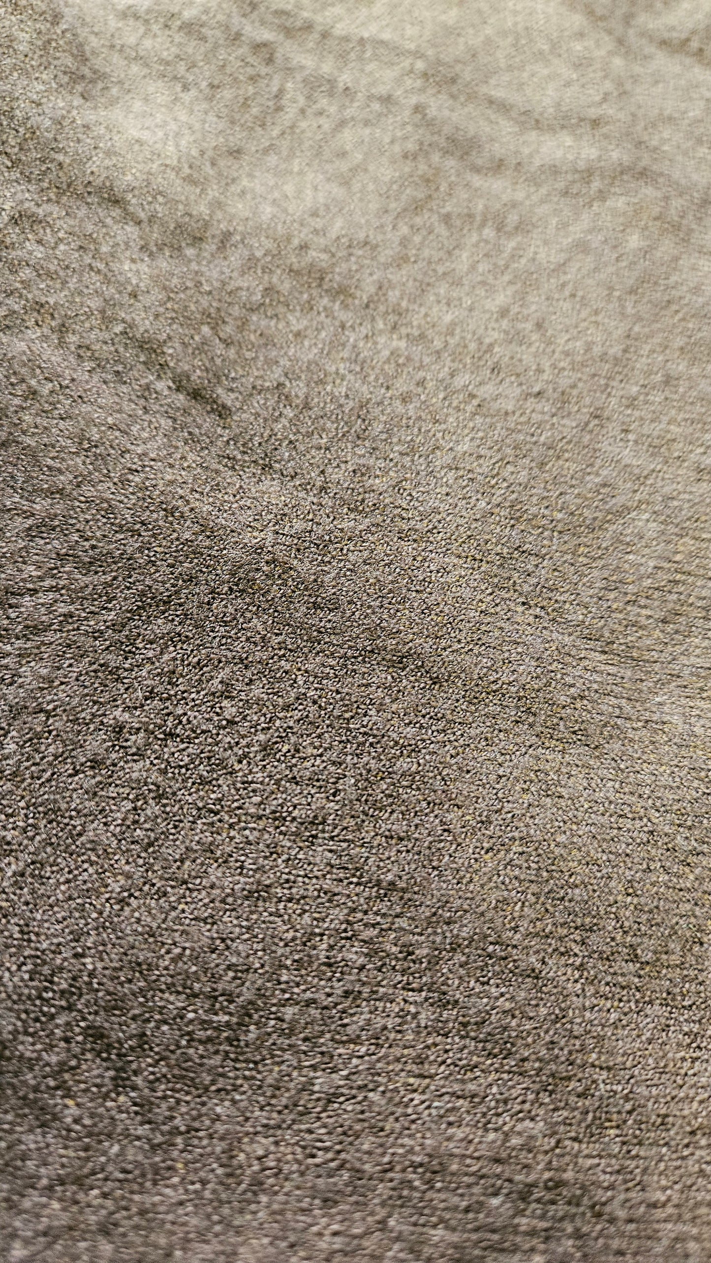 Maglione cacao